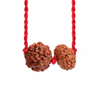 Aries Zodiac Kavach – Rudraksha Combination