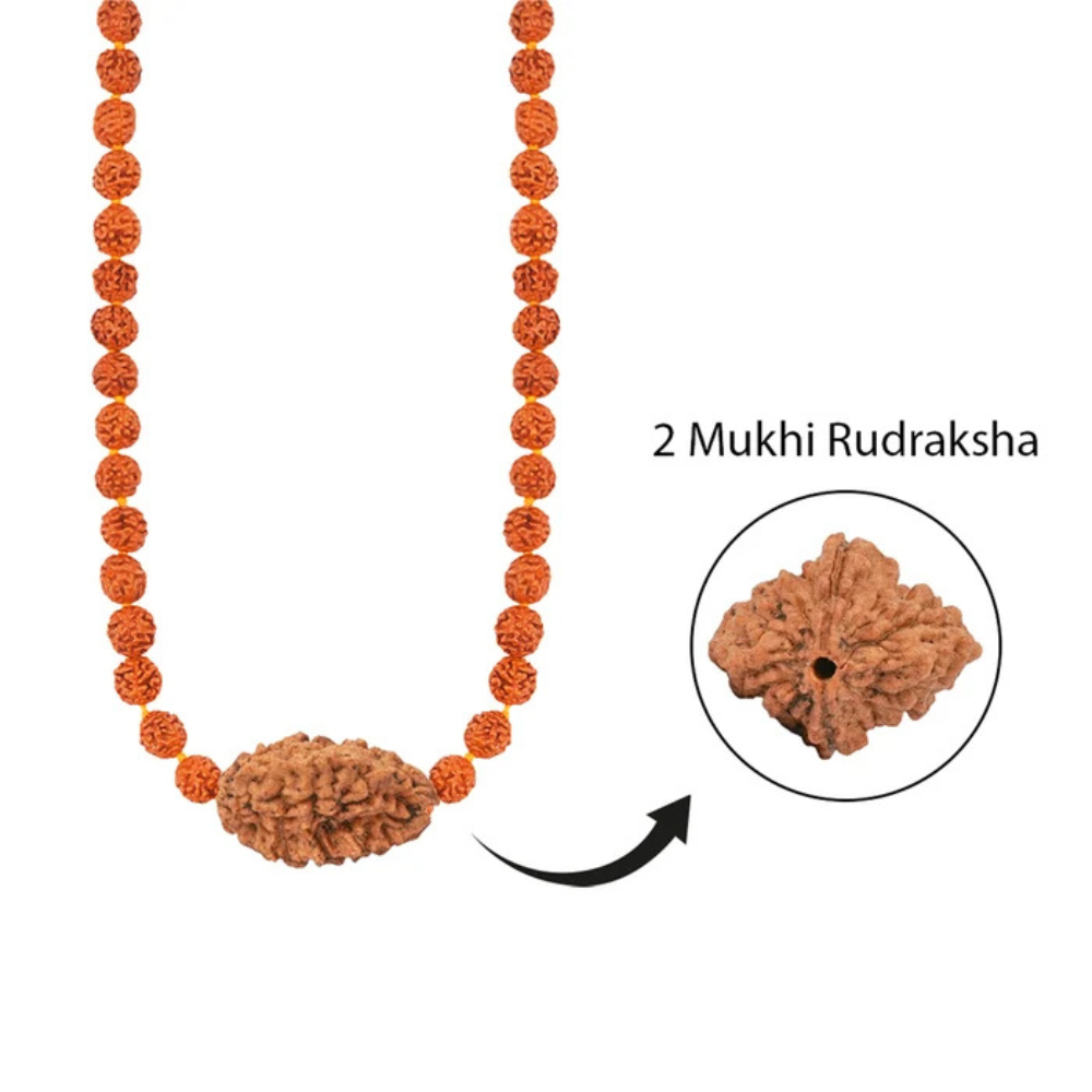 Panch Shakti Duality Mala – 2 Mukhi Rudraksha