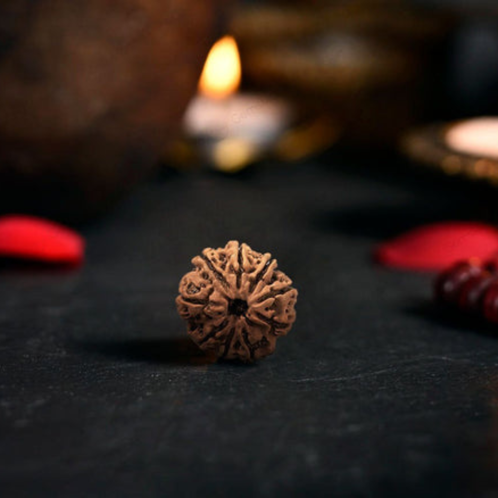 Natural 9 Mukhi Rudraksha (Nepali) Main image