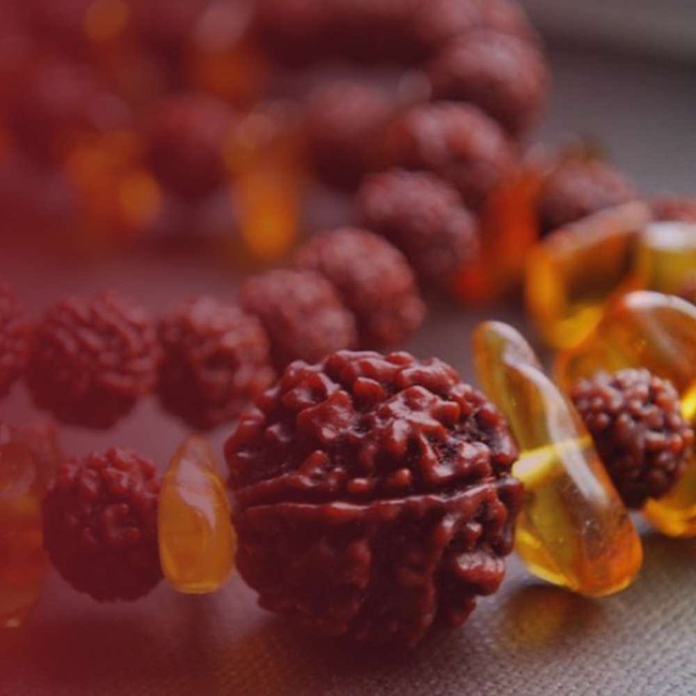 Natural 10 Mukhi Rudraksha (Nepali)