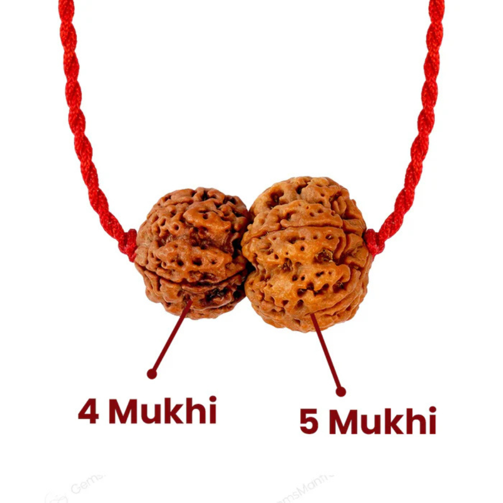 Budh-Guru Buddhi Vriddhi Kavach – 4 Mukhi Rudraksha