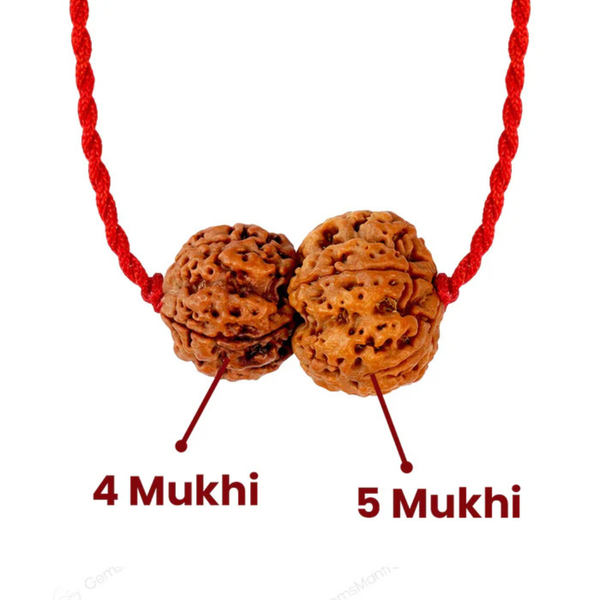 Budh-Guru Buddhi Vriddhi Kavach – 4 Mukhi Rudraksha