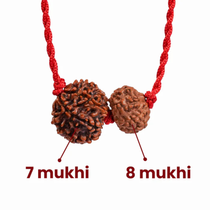 Aquarius Zodiac Rudraksha Kavach