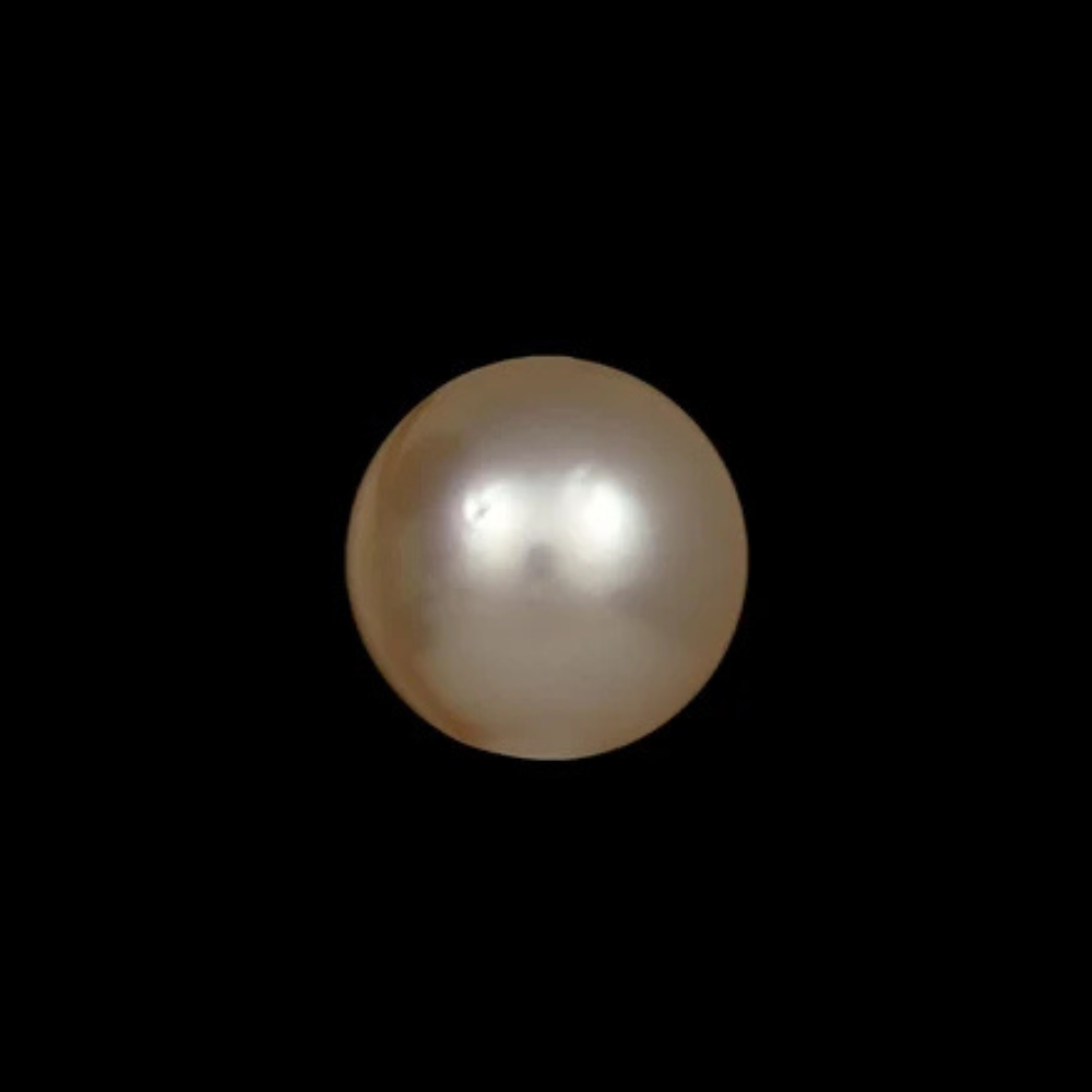 Golden South Sea Pearls