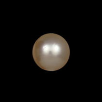 Golden South Sea Pearls