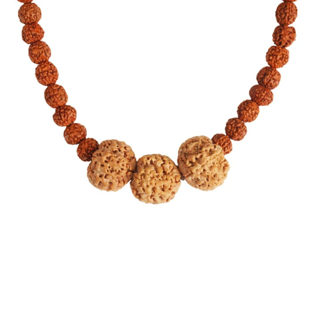 Vidya Vriddhi Mala - 4 Mukhi and 5 Mukhi Rudraksha