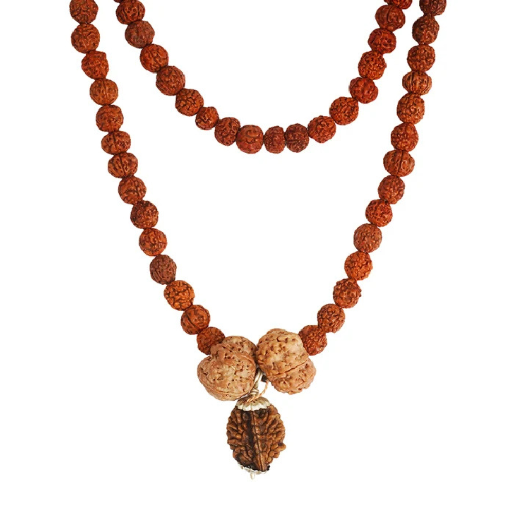 Swasth Vriddhi Mala - 7 Mukhi and 2 Mukhi Rudraksha