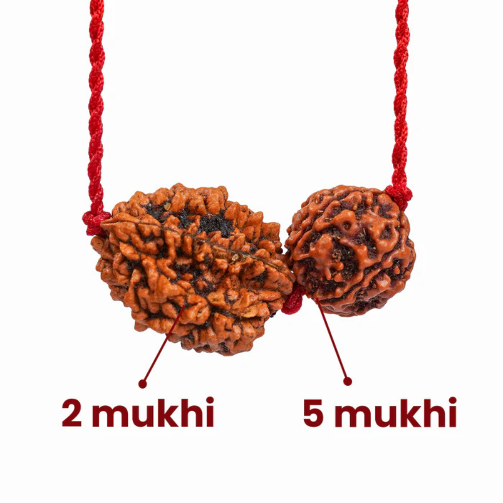 Cancer Zodiac Rudraksha Kavach
