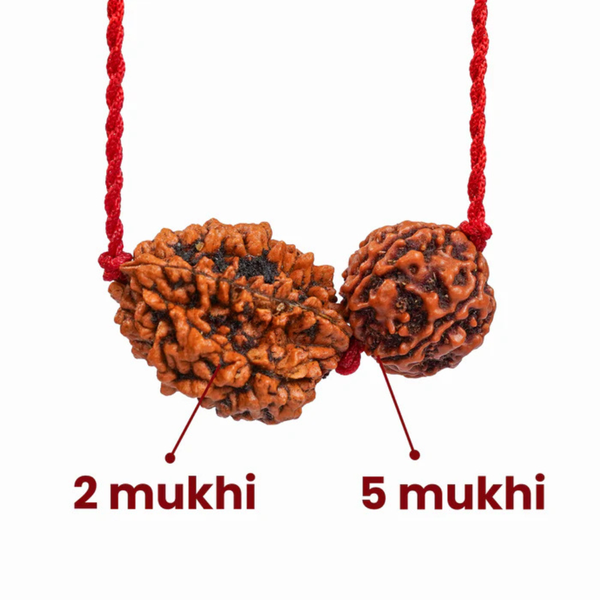 Cancer Zodiac Rudraksha Kavach