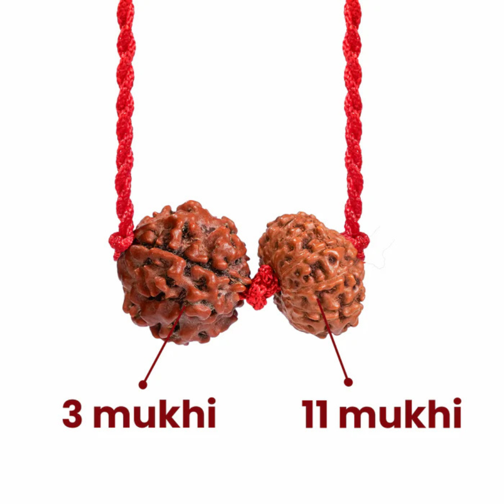 Aries Zodiac Kavach – Rudraksha Combination
