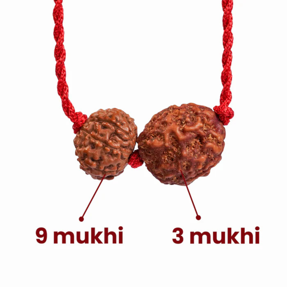 Scorpio Zodiac Rudraksha Kavach
