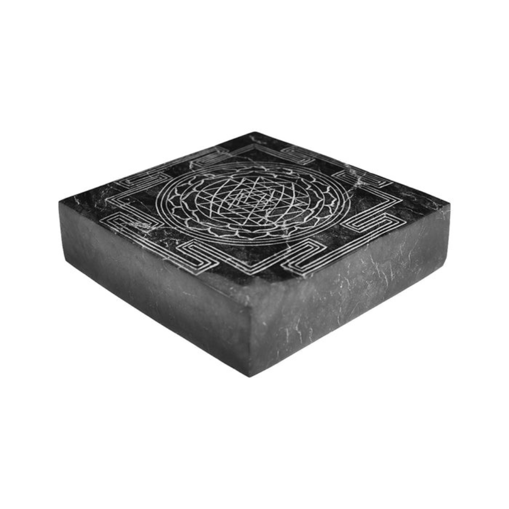Shaligram Shree Yantra – Handmade, for Puja
