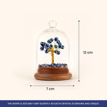Evil Eye Dome Tree