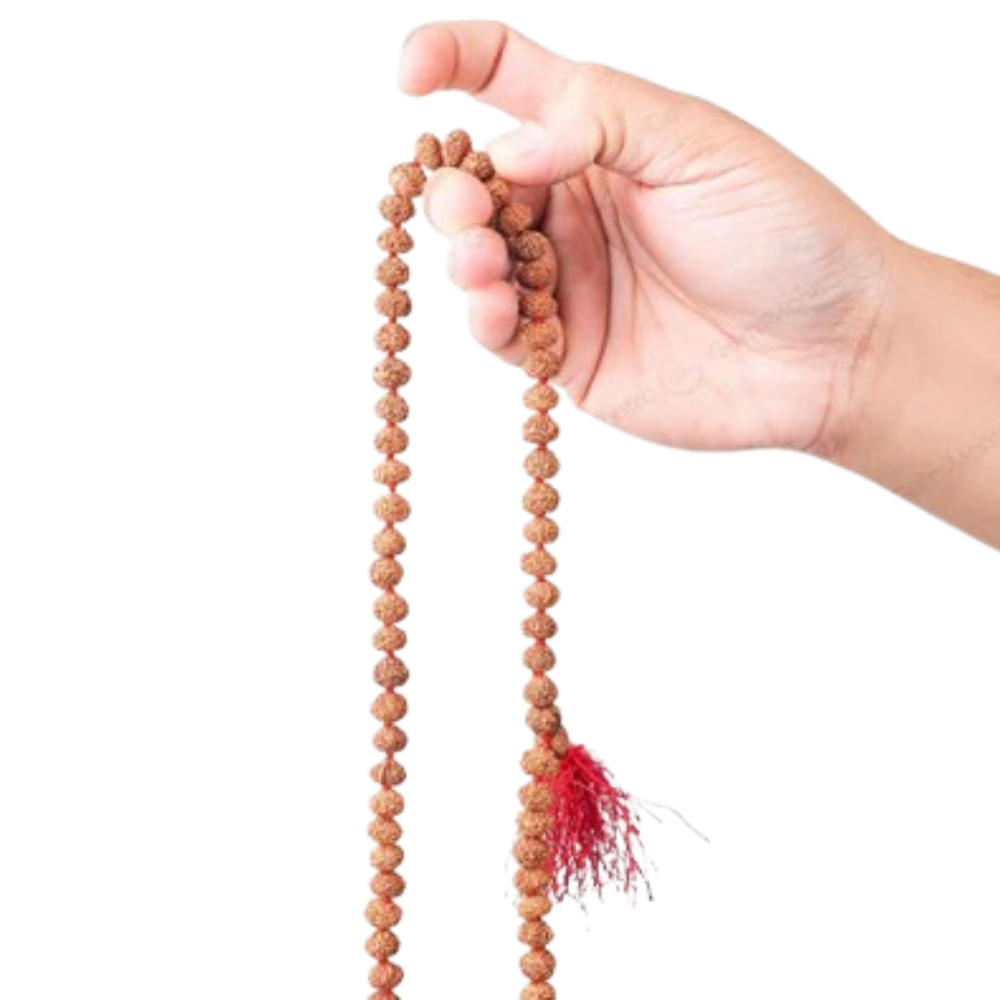 5 Mukhi Rudraksha Mala – 108+1 Beads, for Japa