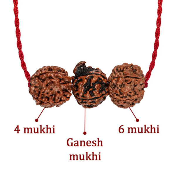 Saraswati Gyaan Kavach – 4 & 6 Mukhi + Ganesh Rudraksha