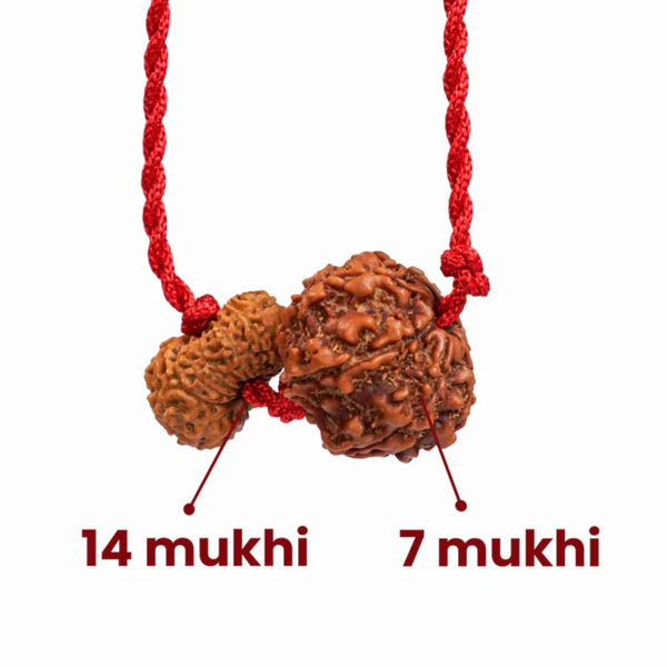 Capricorn Zodiac Rudraksha Kavach