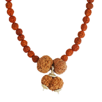 Prem Vriddhi Mala - 6 Mukhi, 7 Mukhi and Gauri Shankar Rudraksha (AB)
