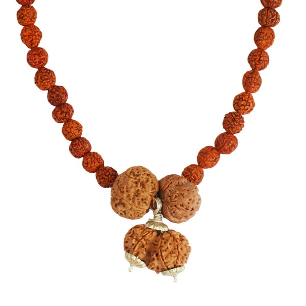 Prem Vriddhi Mala - 6 Mukhi, 7 Mukhi and Gauri Shankar Rudraksha (AB)