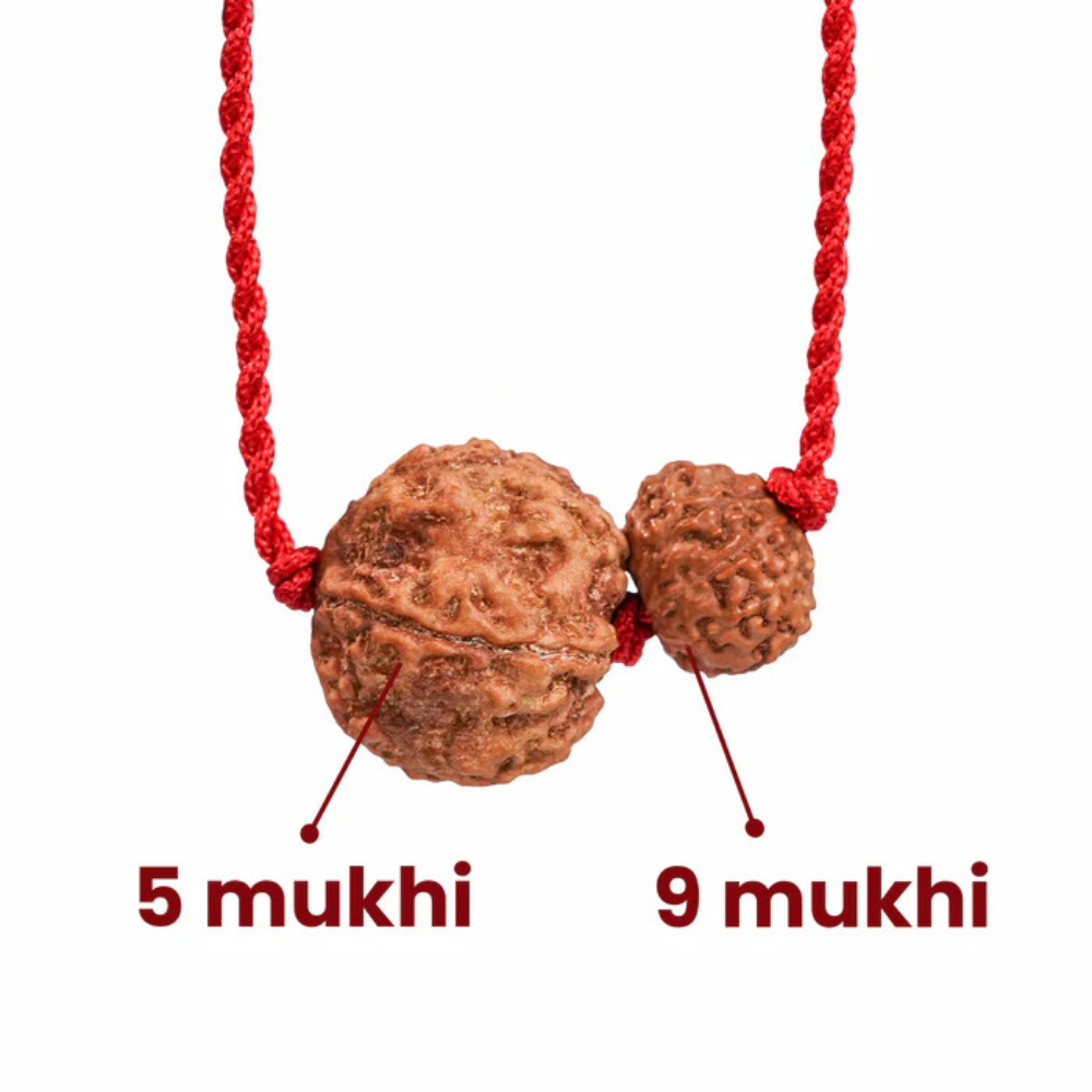 Pisces Zodiac Rudraksha Kavach