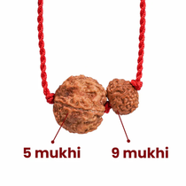 Pisces Zodiac Rudraksha Kavach
