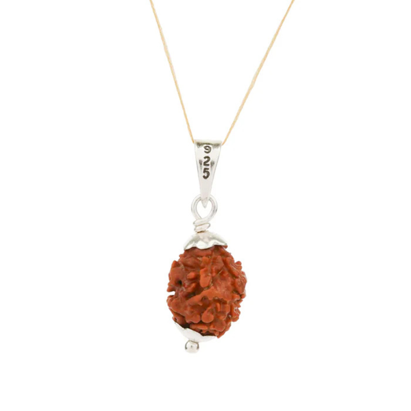 2 Mukhi Rudraksha – Original Nepali Bead
