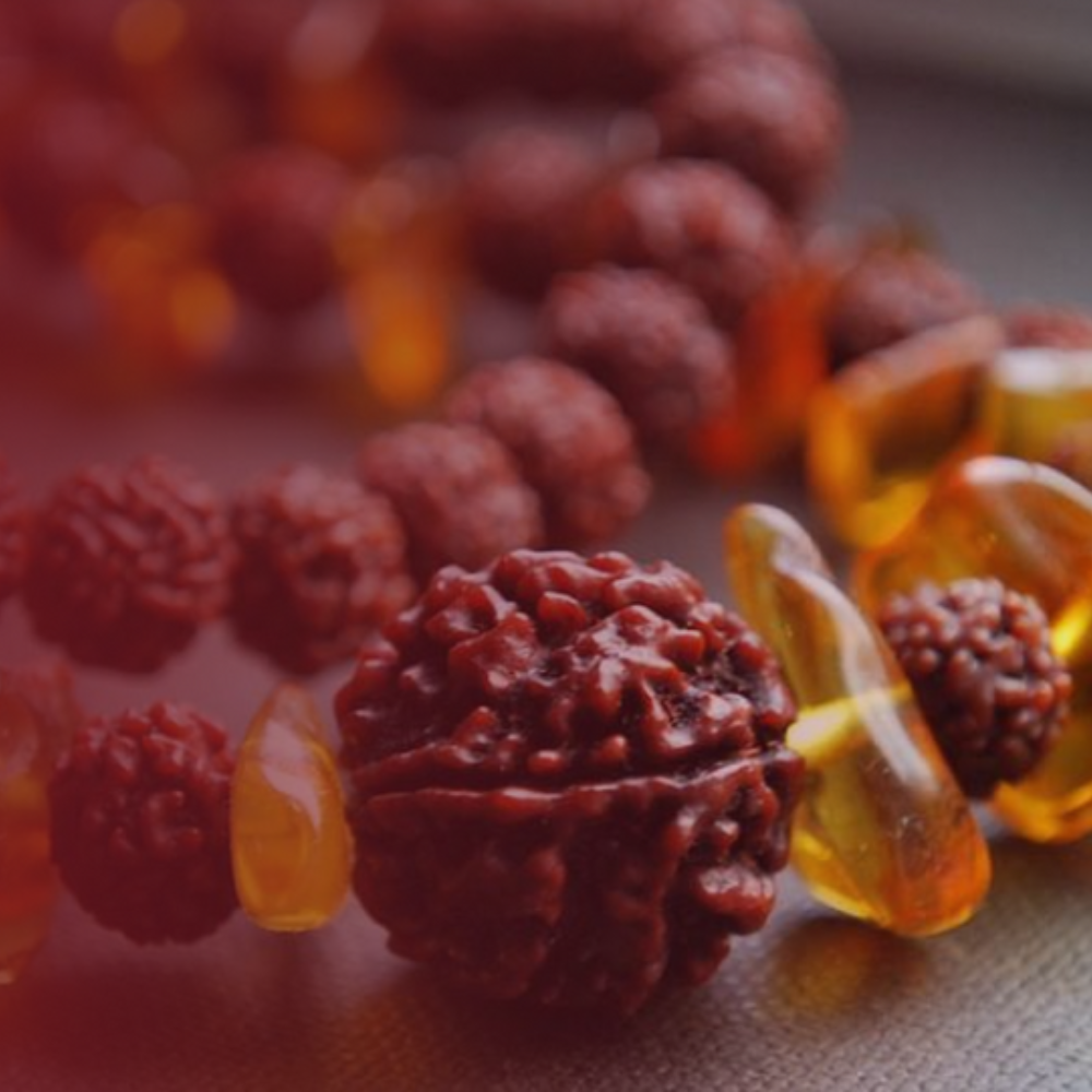 3 Mukhi Rudraksha (Nepali)