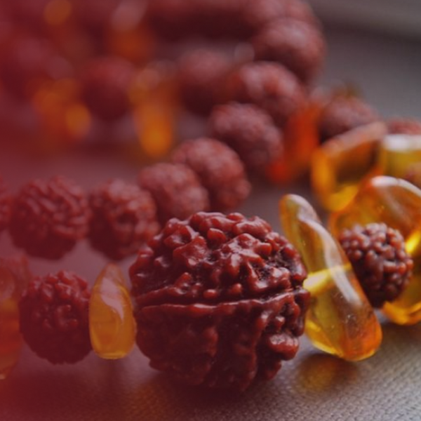 3 Mukhi Rudraksha (Nepali)