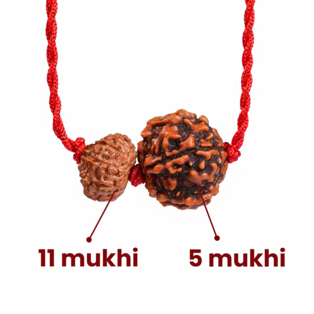 Sagittarius Zodiac Rudraksha Kavach