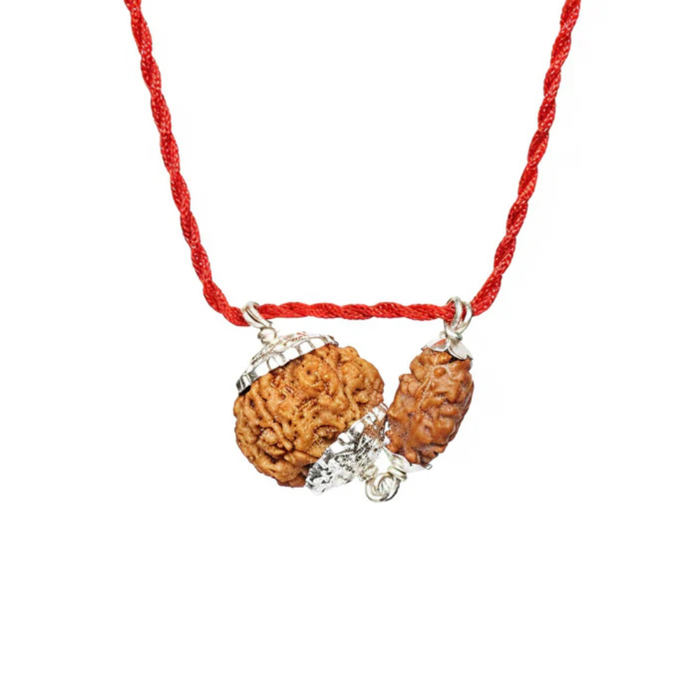 Gajkesari Yog Kavach – 2 Mukhi Rudraksha