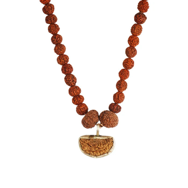 Dhanlaxmi Vriddhi Mala - 1 Mukhi and 9 Mukhi Rudraksha