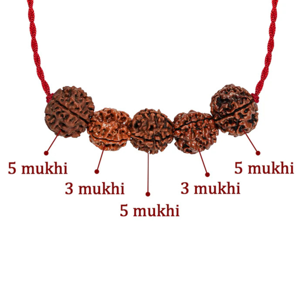 Arogya Raksha Kavach – 3 Mukhi Rudraksha