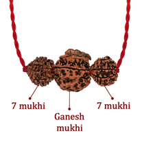 Dhan Laxmi Ganesh Kavach – 7 Mukhi + Ganesh Rudraksha