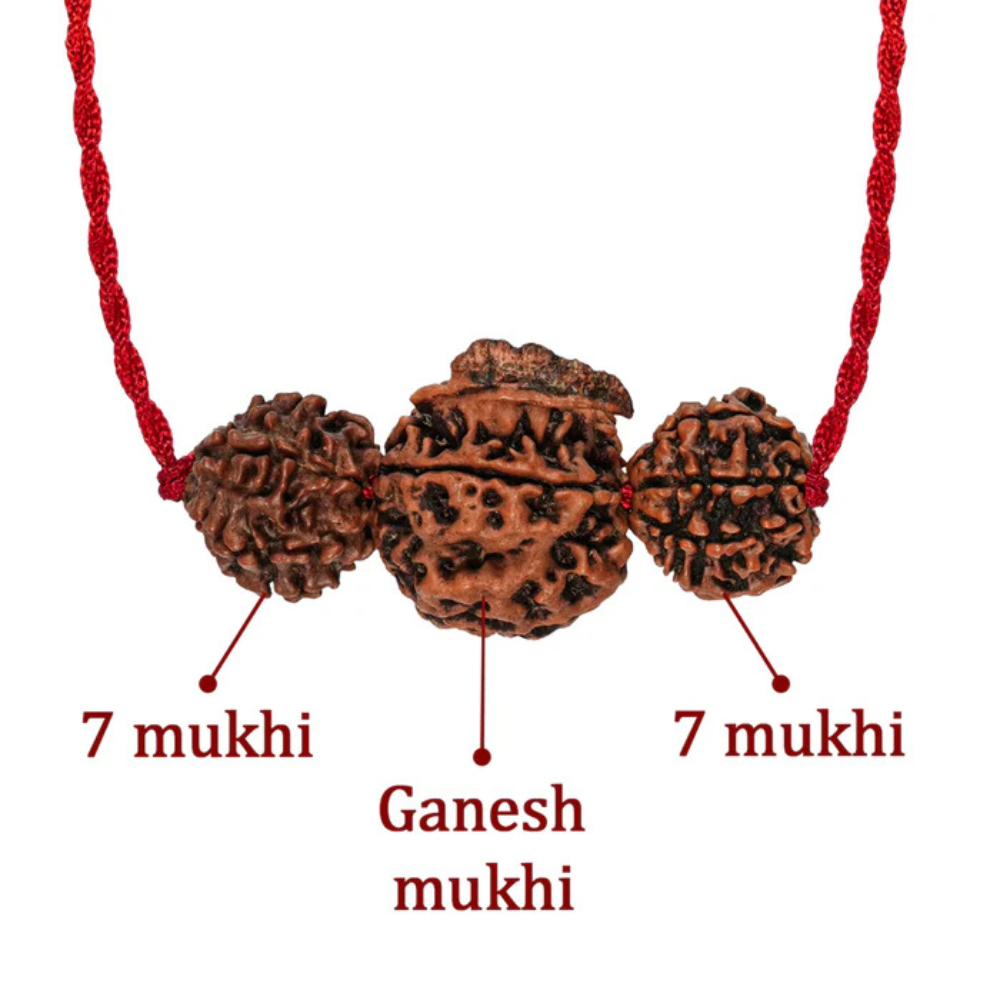 Dhan Laxmi Ganesh Kavach – 7 Mukhi + Ganesh Rudraksha