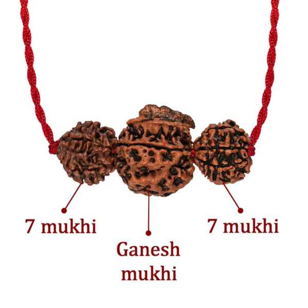 Dhan Laxmi Ganesh Kavach – 7 Mukhi + Ganesh Rudraksha