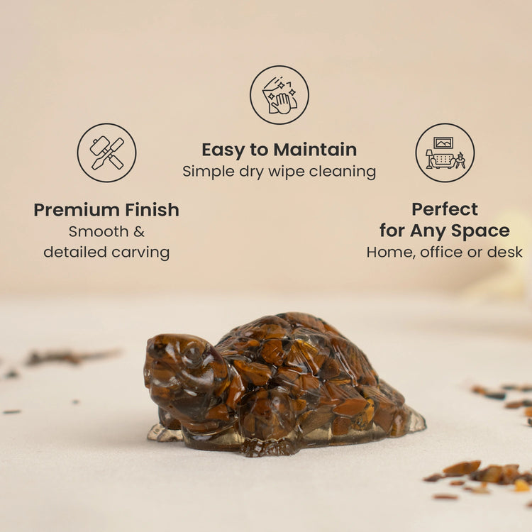 Vastu Tiger Eye Tortoise (Kachhua)