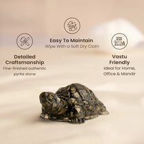 Vastu Pyrite Tortoise (Pack of 2)