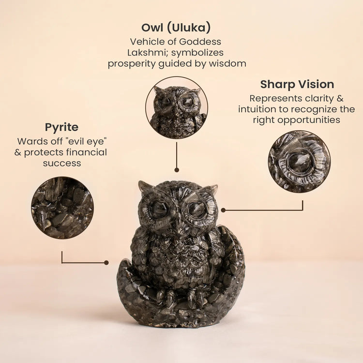 Vastu Pyrite Wealth & Wisdom Combo