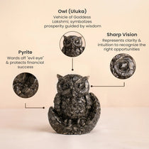 Vastu Pyrite Wealth & Wisdom Combo