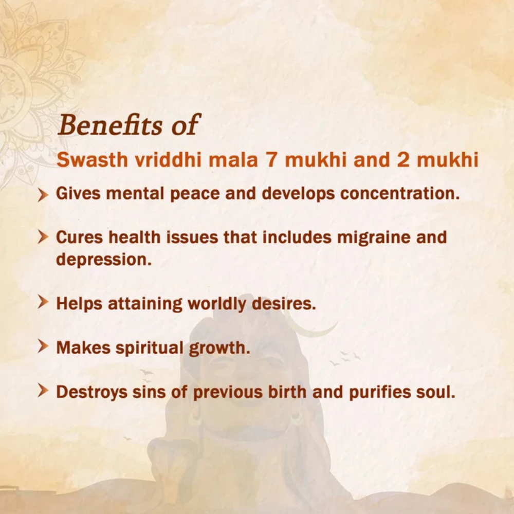 Swasth Vriddhi Mala - 7 Mukhi and 2 Mukhi Rudraksha