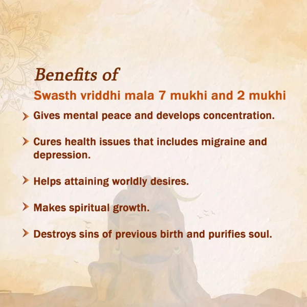 Swasth Vriddhi Mala - 7 Mukhi and 2 Mukhi Rudraksha