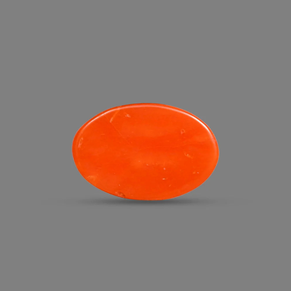 Red Coral (Moonga) – 11.67 Carat / 12.8 Ratti