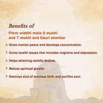 Prem Vriddhi Mala - 6 Mukhi, 7 Mukhi and Gauri Shankar Rudraksha (AB)