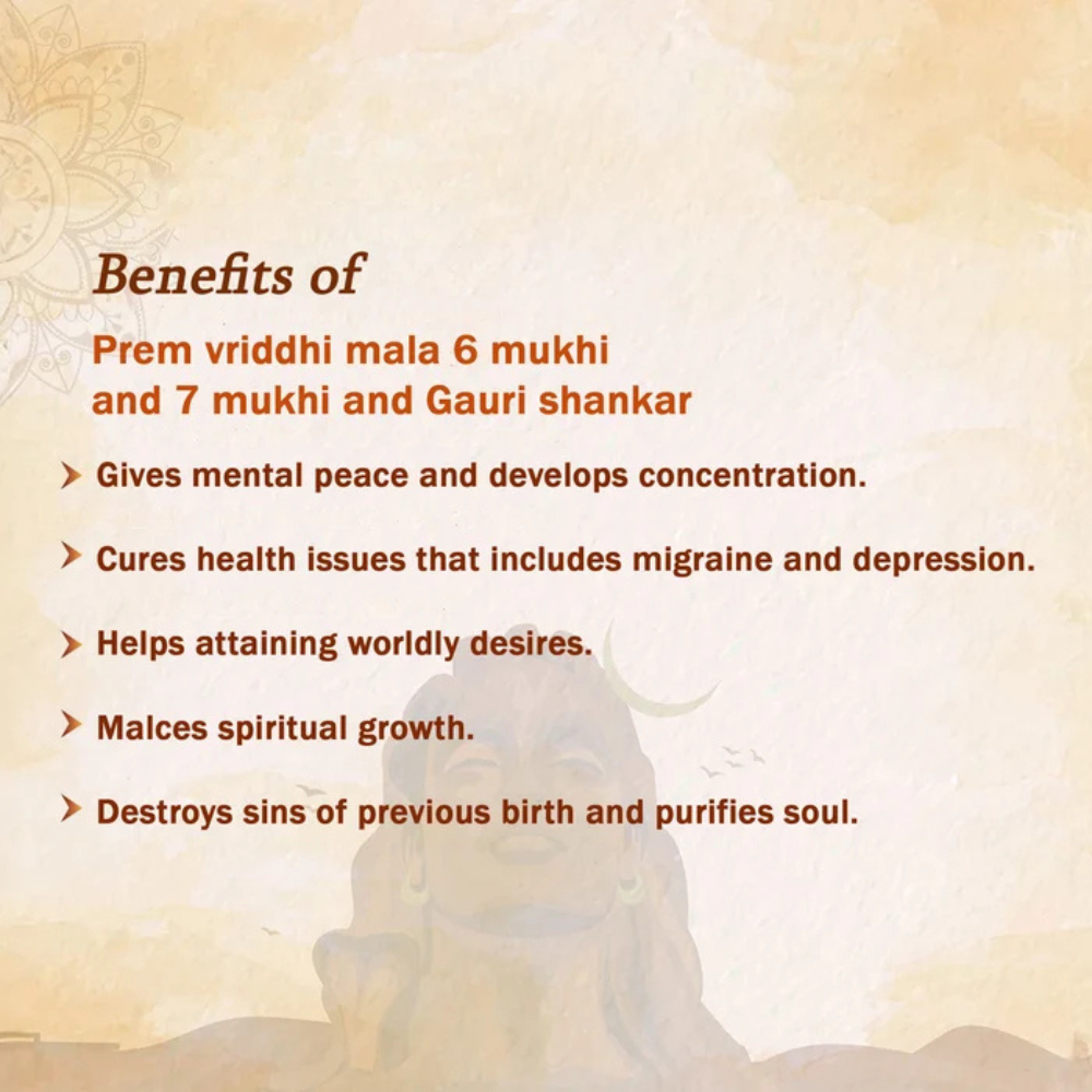 Prem Vriddhi Mala - 6 Mukhi, 7 Mukhi and Gauri Shankar Rudraksha (AB)