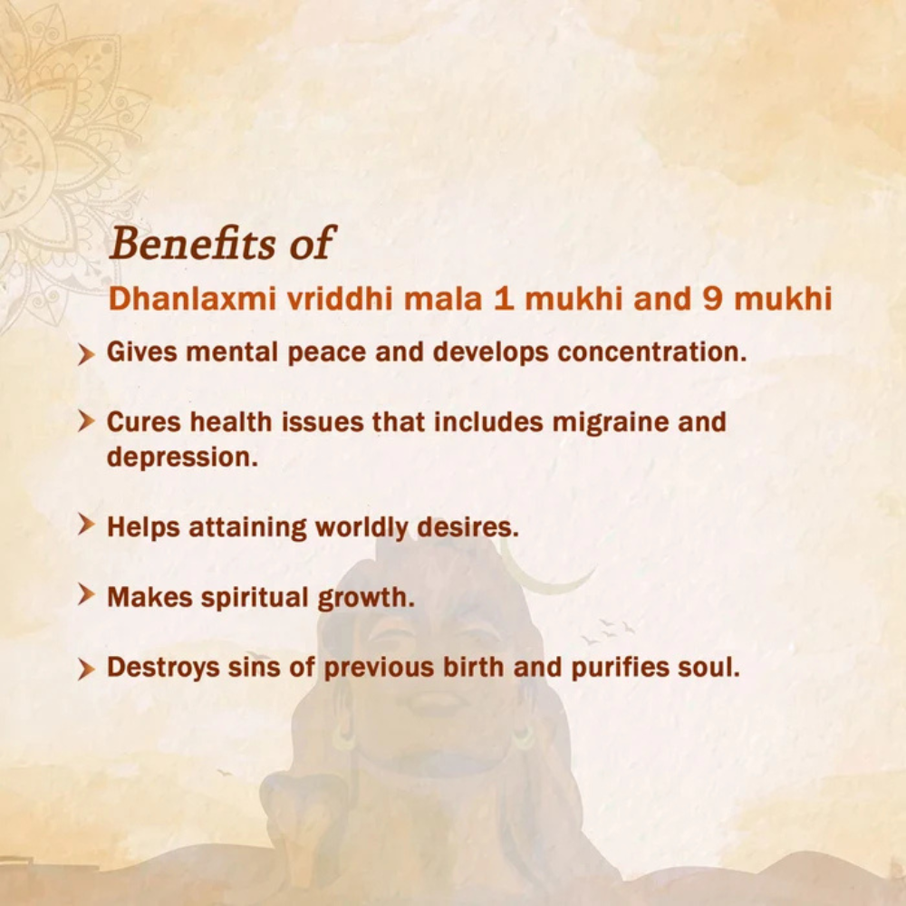 Dhanlaxmi Vriddhi Mala - 1 Mukhi and 9 Mukhi Rudraksha