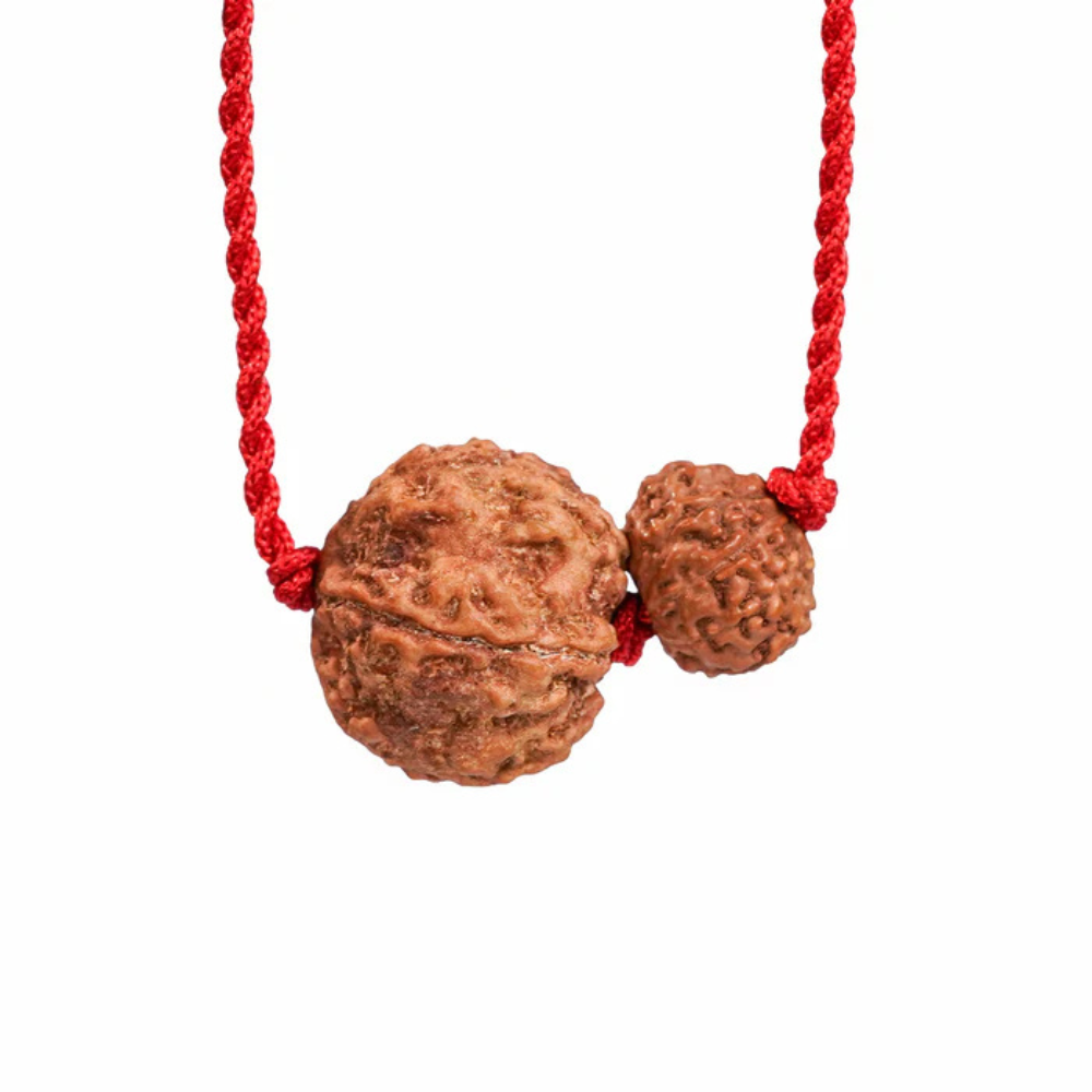 Pisces Zodiac Rudraksha Kavach Secondary image