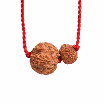 Pisces Zodiac Rudraksha Kavach