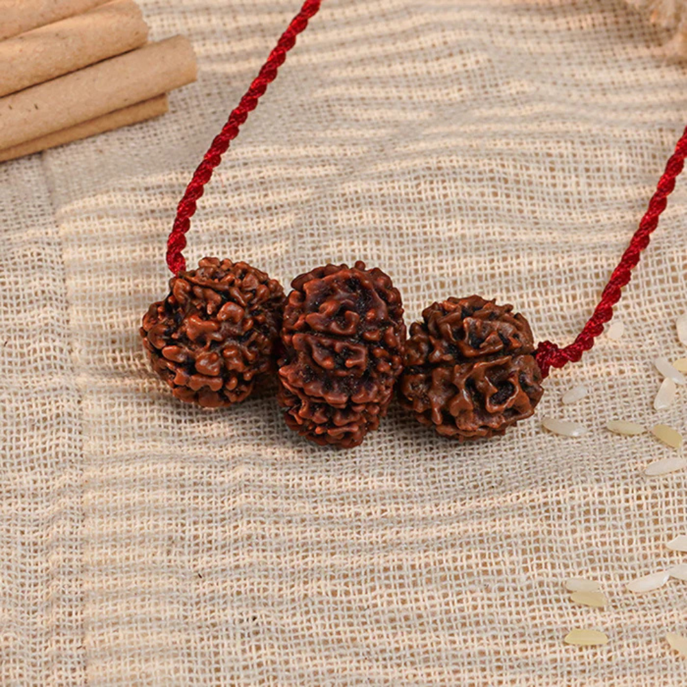 Shakti Kavach – 7 & 9 Mukhi Rudraksha Main image