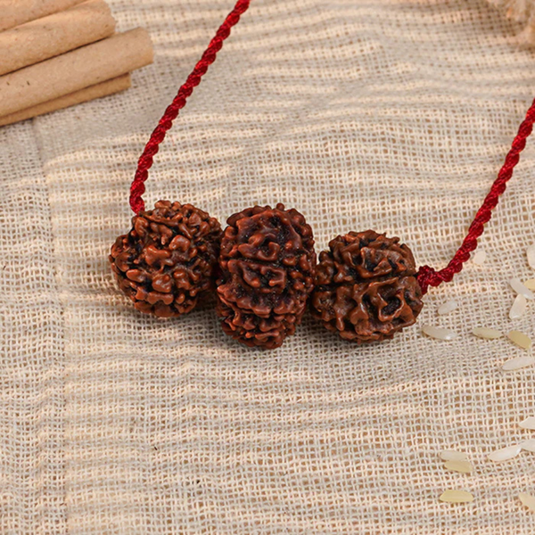 Shakti Kavach – 7 & 9 Mukhi Rudraksha