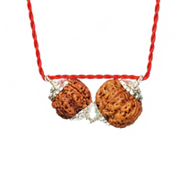 Budh-Guru Buddhi Vriddhi Kavach – 4 Mukhi Rudraksha
