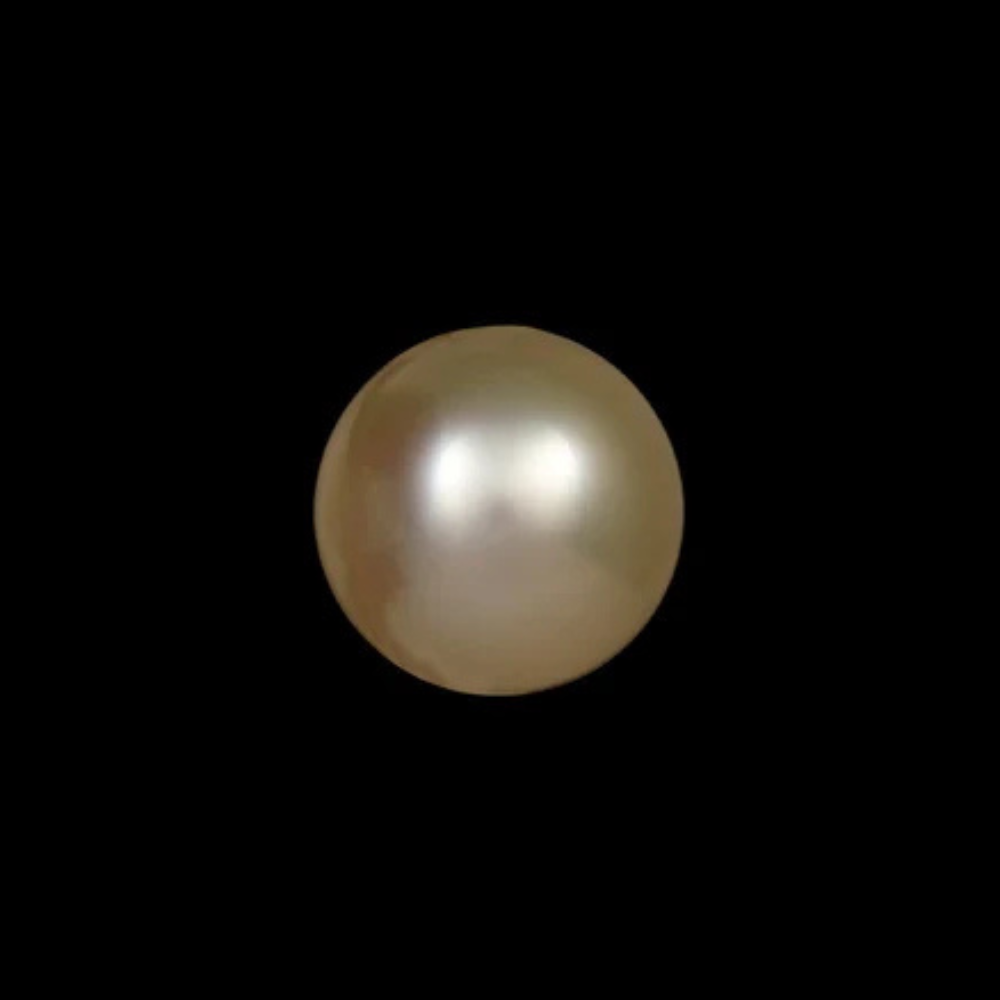 Golden South Sea Pearls